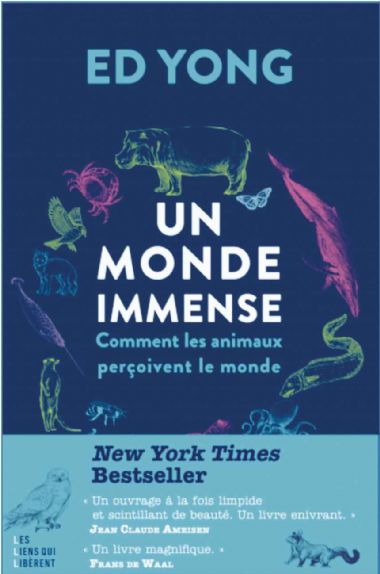 livre dt216