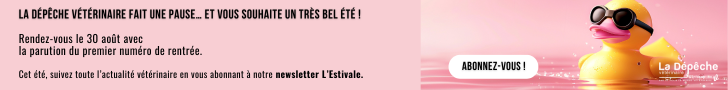 Auto-promo vacances ETE 2025 DV